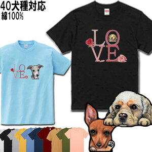  tVc fB[X  gCv[h V[Y[ _bNXth ` Č t`uhbO ViEU[ LoA |jA }`[Y pO R[M[ [L[ yLj