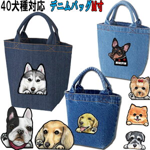 MTCY UobO  U S[fgo[ rVt[[ EFXeB  Hc oZbgnEh C^O L ObY G obO G  ΂ Jo  Mtg a