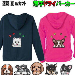 hCp[J[  p[J[ av[g D z I[i[p p[J[ ` gCv[h Č _bNXth R[M[ pO V[Y[ ViEU[ {XgeA |