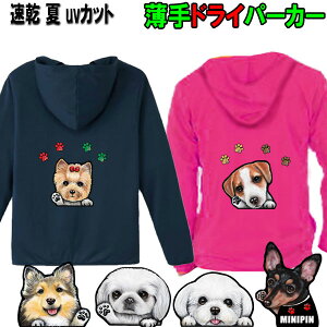  p[J[ av[g  D hCp[J[ z UVJbg I[i[p p[J[ LoA }`[Y WbNbZeA yLj[Y [L[ VFeB ObY G