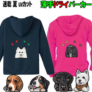  p[J[ av[g D hCp[J[ z UVJbg I[i[p p[J[ uh[ o[j[Y}EehbO VxAnXL[ r[O ObY G  I