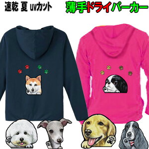  p[J[ av[g D hCp[J[ z UVJbg I[i[p p[J[ rVt[[ EFXeB  oZbgnEh C^O ObY G  IWi f