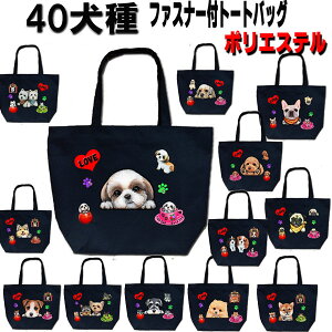 t@Xi[tg[gobO R[M[ ObY G V[Y[ gCv[h Č ` LoA _bNXth ViEU[ }`[Y |jA t`uhbO pO ps 