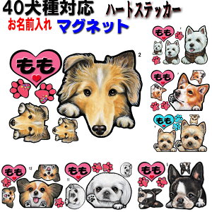  XebJ[  }Olbg n[g XebJ[  XebJ[ ObY G {XgeA LoA }`[Y WbNbZeA |jA yLj[Y VFeB E