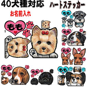   XebJ[ n[g ObY G O {XgeA LoA }`[Y ps ~j`AViEU[ WbNbZeA yLj[Y [L[ {Xge