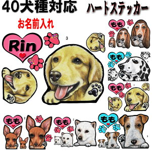  XebJ[  n[g XebJ[  XebJ[ ObY G S[fgo[ rVt[[  _VA Hc C^O L VFp[h VFbhhV[v C^