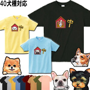  tVc fB[X   ObY G av[g |jA LoA R[M[ pO }`[Y pOObY  yLj[Y   WbNbZeA {[_[