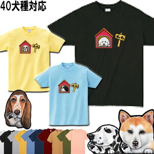  tVc fB[X   ObY G av[g VFp[h Xsbc o[j[Y}EehbO AJRbJ[XpjG S[fgo[ ~js zC