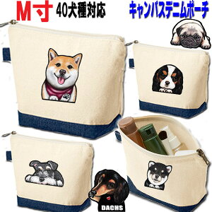 M 摜̂ LoX |[` ObY G  V[Y[ gCv[h ` Č ViEU[ _bNXth |jA LoA R[M[ pO t`uhbO }`[Y 