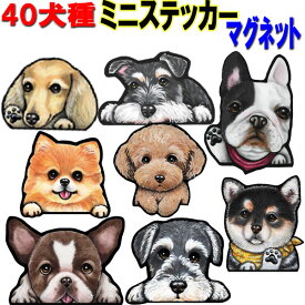 楽天市場 マグネット 犬用品 ペット ペットグッズ の通販