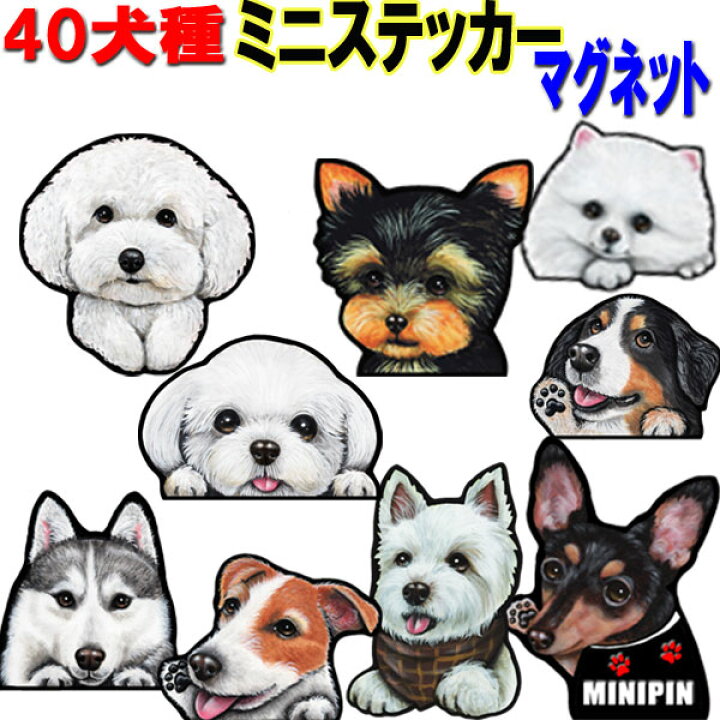 楽天市場 ミニ 犬 ステッカー マグネット 犬ステッカー 犬 ステッカー グッズ 雑貨 ボストンテリア キャバリア マルチーズ ミニチュアシュナウザー 黒パグ ジャックラッセルテリア ポメラニアン ヨーキー シェルティ ウェスティ キャバリア シェルティ ポメラニアン 車 楽天市場 ミニ 犬 ステッカー マグネット 犬ステッカー 犬 ステッカー グッズ 雑貨 ボストンテリア キャバリア マルチーズ ミニチュアシュナウザー 黒パグ ジャックラッセルテリア ポメラニアン ヨーキー シェルティ ウェスティ キャバリア シェルティ ポメラニアン 車