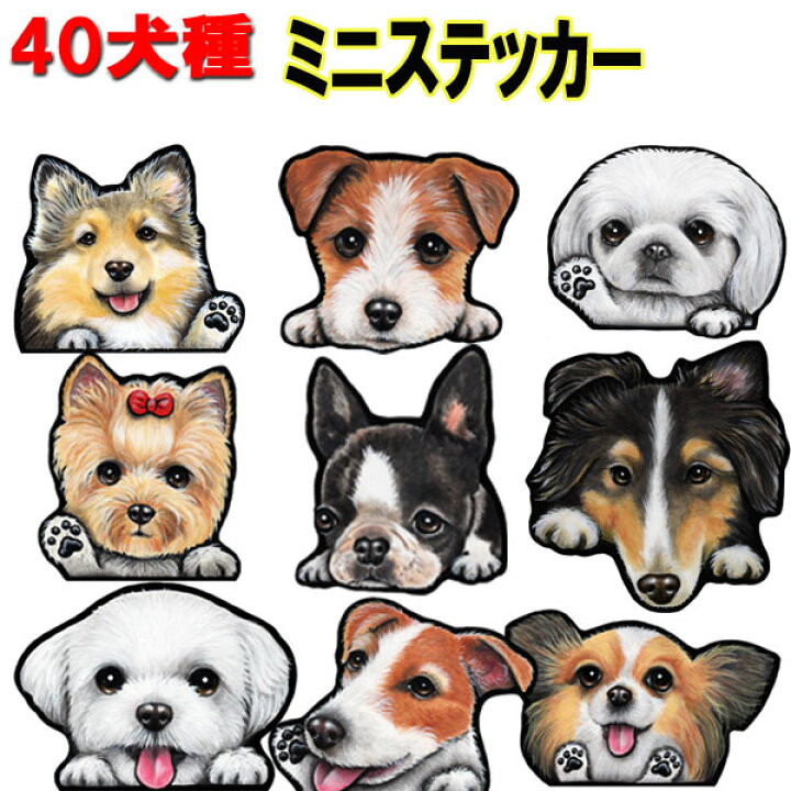 再入荷 とっても小さい巾着2個 ビションフリーゼ 柴犬 Atak Com Br