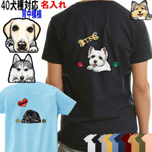  tVc fB[X    IWi uh[ AJRbJ[XpjG VxAnXL[ r[O ~j`AsV[ ObY G Y LbY xCr