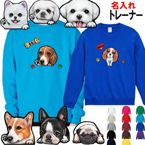    g[i[ av[g pC  ObY G EFXeB VFeB yLj[Y [L[ ps {XgeA WbNbZeA {[_[R[ r