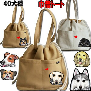В  UobO [L[ ObY S[fgo[ rVt[[ EFXeB  _VA C^O ObY G obO rVt[[ U UobO  ^ 