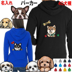   N 10oz  p[J[ av[g p[J[  I[i[p V[Y[ gCv[h ` Č ViEU[ _bNXth |jA G bsO IWi