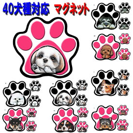 犬 ステッカー足跡 マグネット PAW パウ 犬ステッカー 犬 ステッカー 雑貨 コーギーグッズ チワワ トイプードル フレンチブルドッグ 柴犬 ポメラニアン パグ シーズー シュナウザー キャバリア ダックスフンド パグ 車 誕生日プレゼント ワンポイント 母の日 父の日