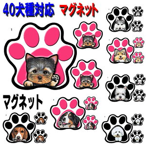  XebJ[ }Olbg pE XebJ[ XebJ[ ObY G uh[go[ AJRbJ[XpjG o[j[Y}EehbO VxAnXL[ uh