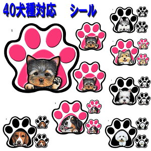  XebJ[ pE XebJ[  XebJ[ ObY G uh[go[ AJRbJ[XpjG o[j[Y}EehbO uh[go[ [NV