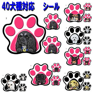  XebJ[  pE XebJ[  XebJ[ S[fgo[ rVt[[  Hc C^O ueA C^AO[nEh VFp[h VFbhhV[v 