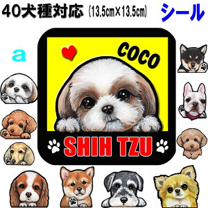   XebJ[ ` ObY G O ` gCv[h t`uhbO Č _bNXth R[M[ pO V[Y[ ViEU[ ` gCv[h |jA