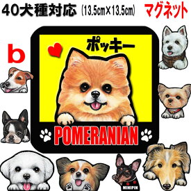 楽天市場 犬 ステッカー 名入れの通販