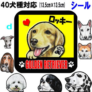  XebJ[  XebJ[ S[fgo[ rVt[[  _VA Hc C^O L C^AO[nEh VFp[h VFbhhV[v rVt