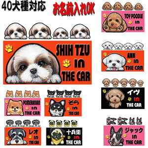 名入れ 犬 ステッカー マグネット 四角 オーダー お名前入り チワワ トイプードル 柴犬 ダックスフンド コーギー パグ シーズー シュナウザー チワワ トイプードル フレンチブルドッグ ポメ