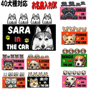 名前 ステッカー 防水 ペットの人気商品 通販 価格比較 価格 Com 名前 ステッカー 防水 ペットの人気商品 通販 価格比較 価格 Com