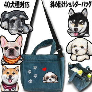  UobO UobO V_[  ybg{g V_[obO gCv[h G ` ObY V[Y[ _bNXth |jA ViEU[ pO Č Lo