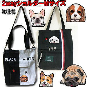 2way ΂߂ V_[ UobO  U V_[ UobO Up ObY G ObY LoA R[M[ pO t`uhbO }`[Y ObY G UobOł