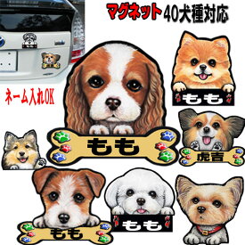 楽天市場 オリジナル ステッカー 作成 オーナーズグッズ 犬用品 ペット ペットグッズの通販