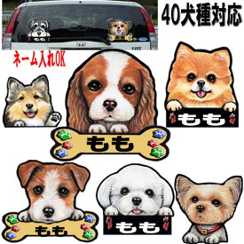 母の日 プレゼント 名入れ 犬 ステッカー シール ボストンテリア グッズ キャバリア 雑貨 マルチーズ グッズ ジャックラッセルテリア ヨーキー シェルティ グッズ シール パグ 車に貼る スマホケース 犬のステッカー 車ステッカー 車 誕生日プレゼント