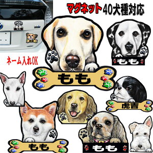  }Olbg  XebJ[ uh[ o[j[Y}EehbO VxAnXL[ ObY G Ԃɓ\ X}zP[X X}[gtH  ̃XebJ[ ԃXebJ[ 