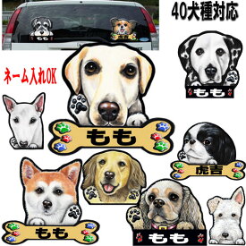 楽天市場 オリジナル ステッカー 作成 オーナーズグッズ 犬用品 ペット ペットグッズの通販