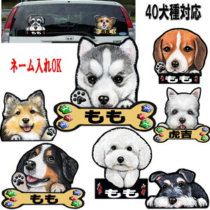   XebJ[ S[fgo[ ObY VFeB G V[ o[j[Y}EehbO r[O EFXeB rVt[[ Ԃɓ\ ̃XebJ[ ԃXebJ[ 