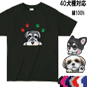  tVc fB[X  q qǂ   LbY  j̎q ̎q qǂp jq q  Hc oZbgnEh _VA VFbhhV[v b㌢ ueA 