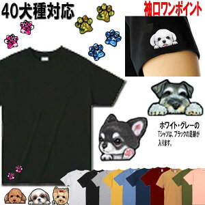  tVc fB[X     gCv[h V[Y[ _bNXth ` Č    pO t`uhbO ViEU[ LoA |jA }`[Y R