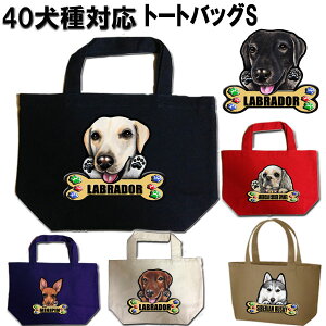  UobO UobO  o obO  UobO ObY G UobO y uh[go[ S[fgo[ {[_[R[ EFXeB VFp[h