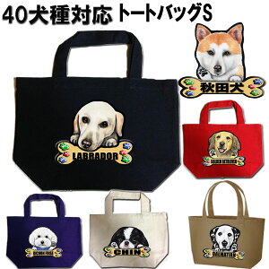  UobO UobO ObY G av[g Hc b㌢ L oZbgnEh _VA VFbhhV[v ueA C^AO[nEh a^ 