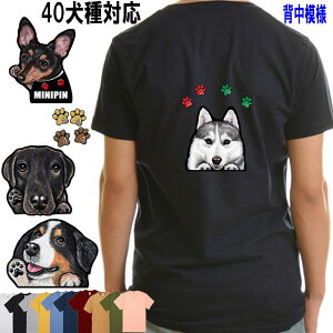  tVc fB[X   IWi S[fgo[ rVt[[ EFXeB  _VA Hc C^O L ObY G Y LbY xCr[  I[_