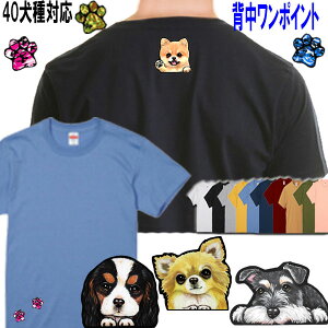  tVc fB[X  TVc  IWi LoA R[M[ pO t`uhbO }`[Y ObY G a I[i[ObY Y LbY  I[_[Ch 