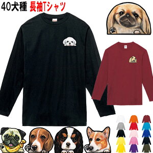  tVc fB[X   O  IWi LoA R[M[ pO t`uhbO }`[Y ObY G a I[i[p Y LbY  I[_[Ch 