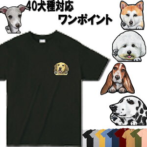  tVc fB[X   IWi tVc rVt[[ uh[ ~j`AViEU[~j`AsV[  Hc oZbgnEh _VA VFbh