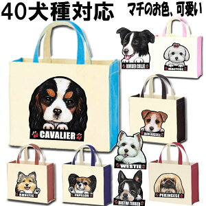 UobO  UobO {XgeA LoA }`[Y ps yLj[Y G [L[ VFeB [L[ ObY U g[gobO VFeB U ΂ Jo