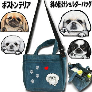 yLj[Y  UobO V_[ V_[obO fB[X UobO yLj[Y ObY G UobO  yLj[Y ObY G obO ObY ybg g[gobO 