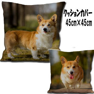 R[M[ ObY G NbVJo[(45×45) G R[M[ ObY G CeA R[M[ ObY G NX}X