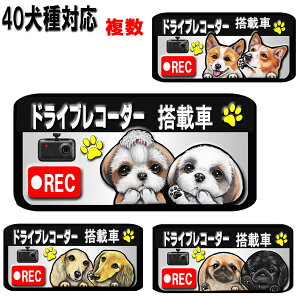 ドラレコ ステッカー かわいい 複数犬 ドライブレコーダー ステッカー マグネット 録画中 犬 雑貨 シーズー トイプードル チワワ 柴犬 シュナウザー ダックスフンド ポメラニアン 迷惑防止