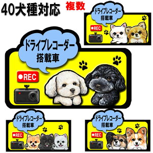 ドラレコ ステッカー かわいい 複数犬 ドライブレコーダー 録画中 犬 マグネット グッズ 雑貨 シーズー トイプードル チワワ 柴犬 シュナウザー ダックスフンド 車 迷惑防止 車用ステッカー