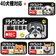犬 1000円ポッキリ ドラレコ ステッカー かわいい ドライブレコーダー ステッカー 録画中 犬 シール グッ…